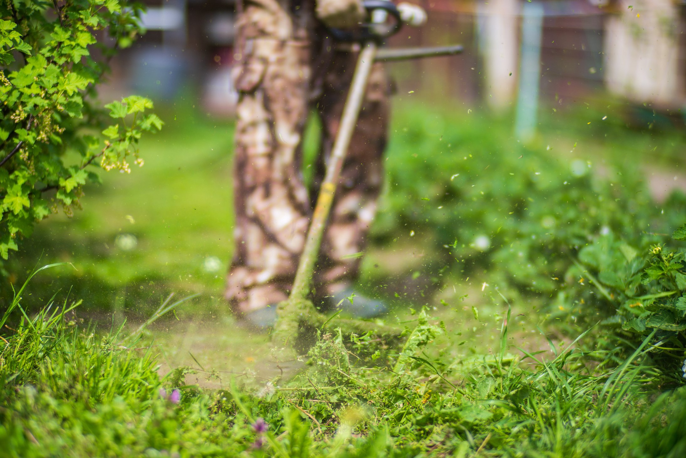 Man mowing tall grass with electric or petrol lawn trimmer in backyard. Gardening care tools and equipment. Process of lawn trimming with hand mower